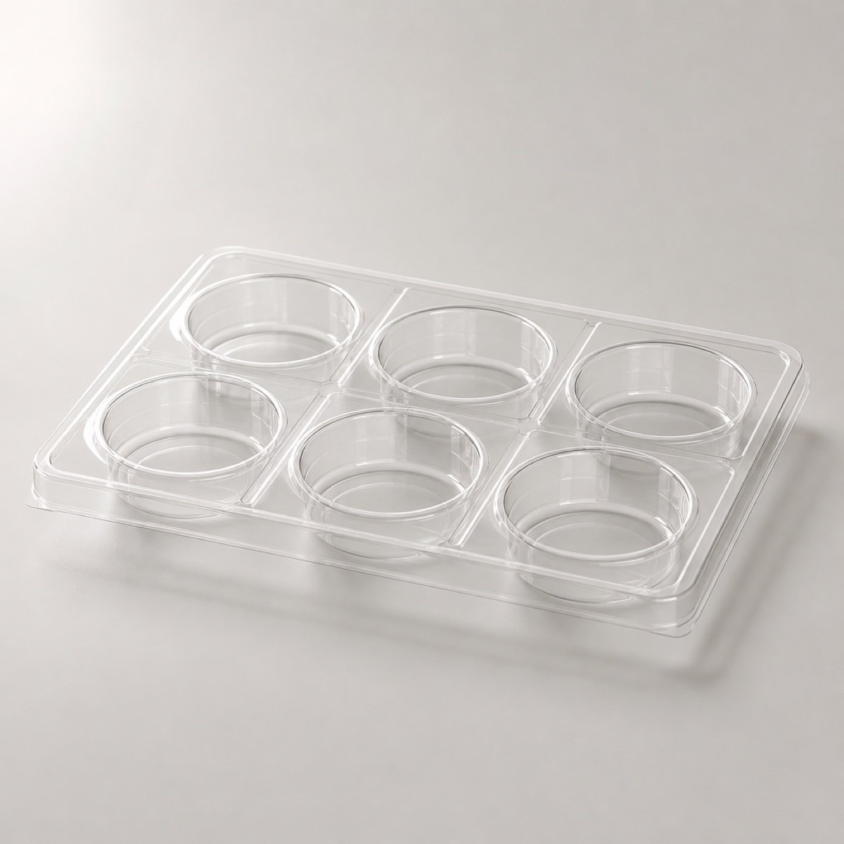 fushi-multi-cavity-blister Clear multi-cavity blister tray with six round pockets in two rows
